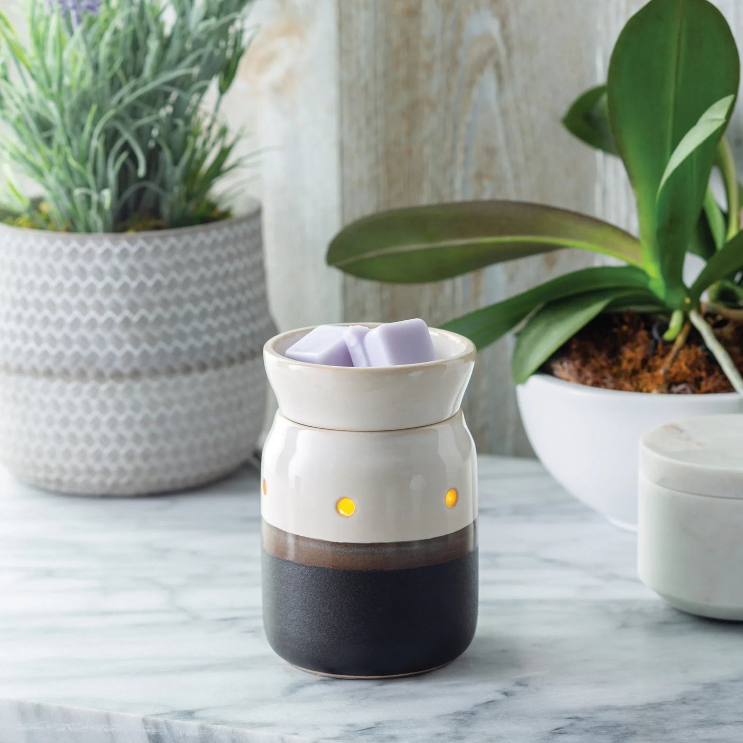 Ceramic wax melt warmer with glowing lights and wax cubes on marble countertop, plants in background